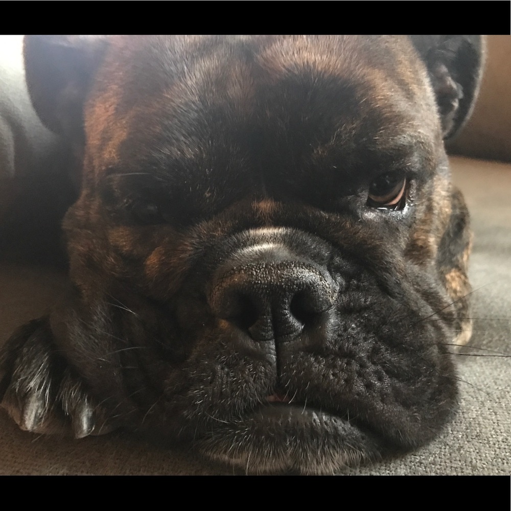 Meet your Posher, Lindsay